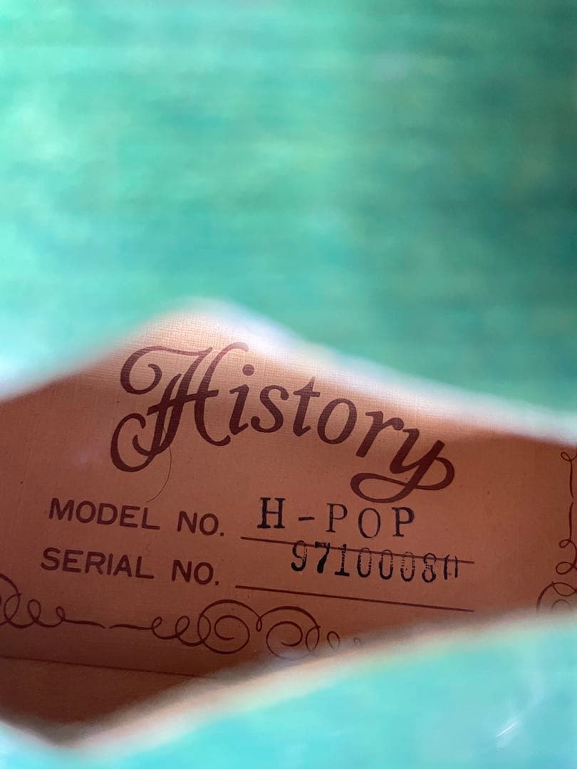 島村楽器オリジナル ポップマン フラットマンドリン