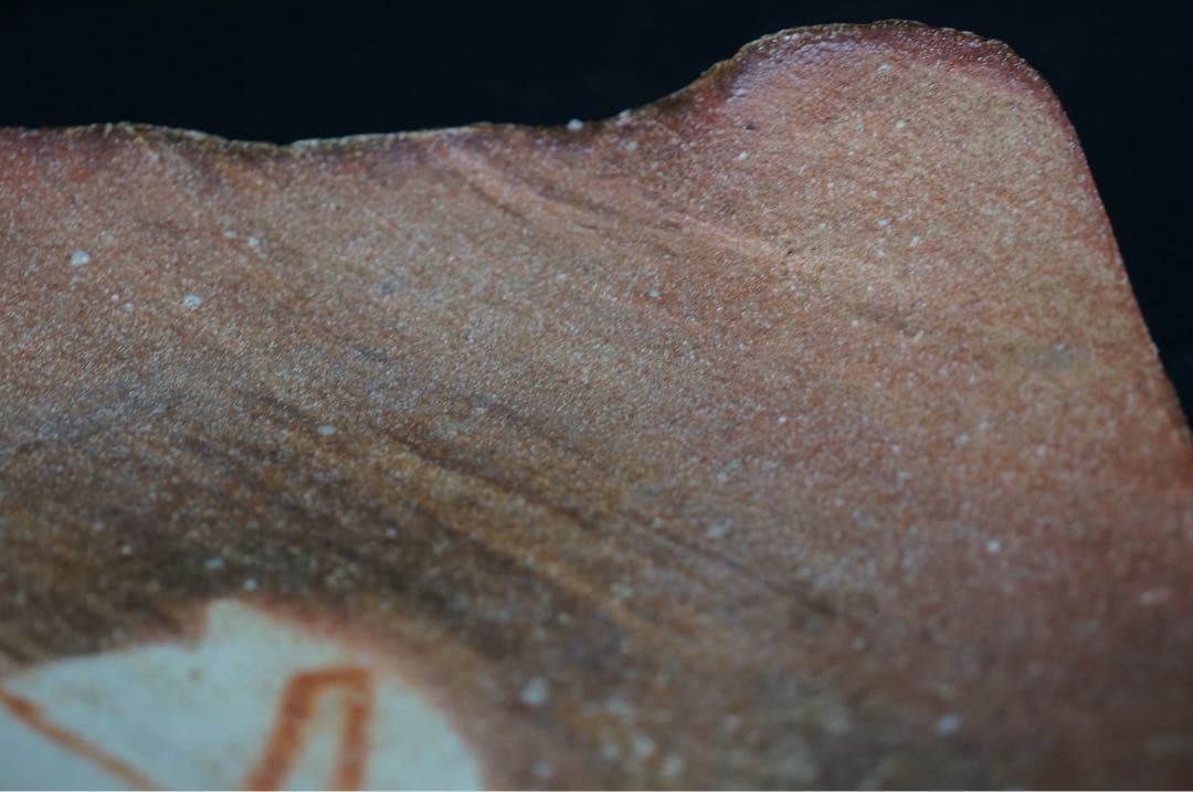 皆川隆 作 信楽 波面 皿 共箱 栞付 保証品 / 大皿 懐石料理道具