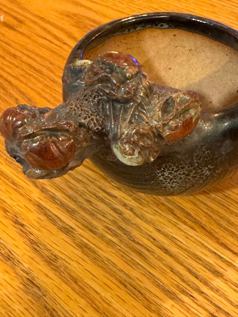 岡谷是心　鉢　盆栽