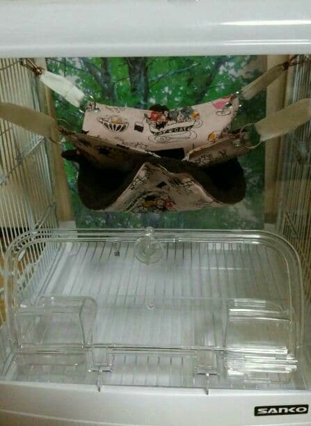 モモンガハウス(カフェ・猫) ボア茶   大サイズ(家族用)  2200円