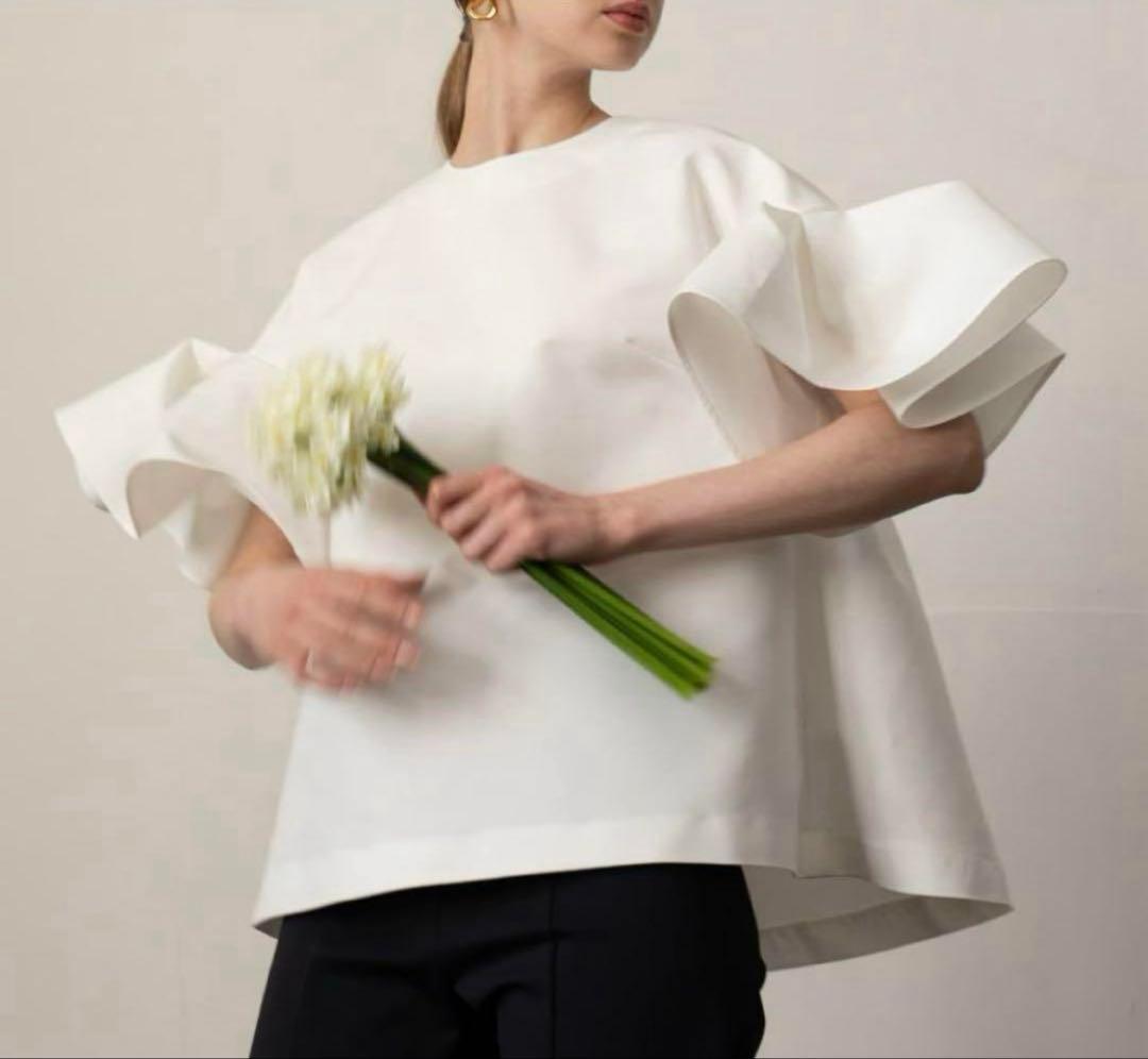 heve ファインスリーブブラウス　白　へイヴ