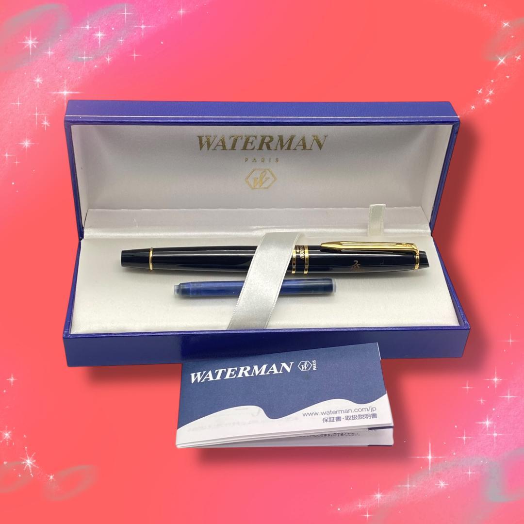 《未使用に近い》 ウォーターマン エキスパートエッセンシャル 万年筆
