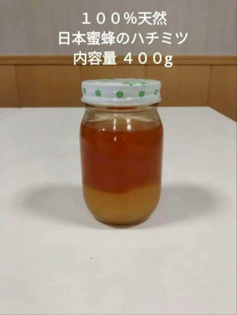 日本蜜蜂の天然ハチミツ　無添加　非加熱　内容量４００g × 6本