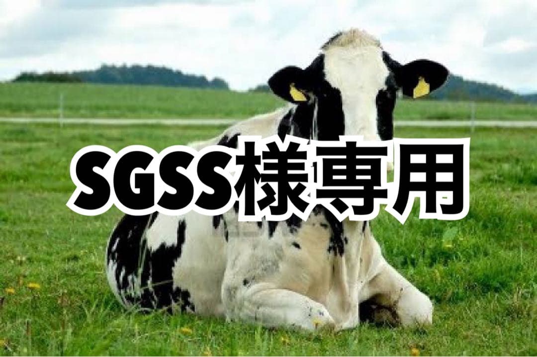 グリス500g、ブラウンへり10m、黒へり10m