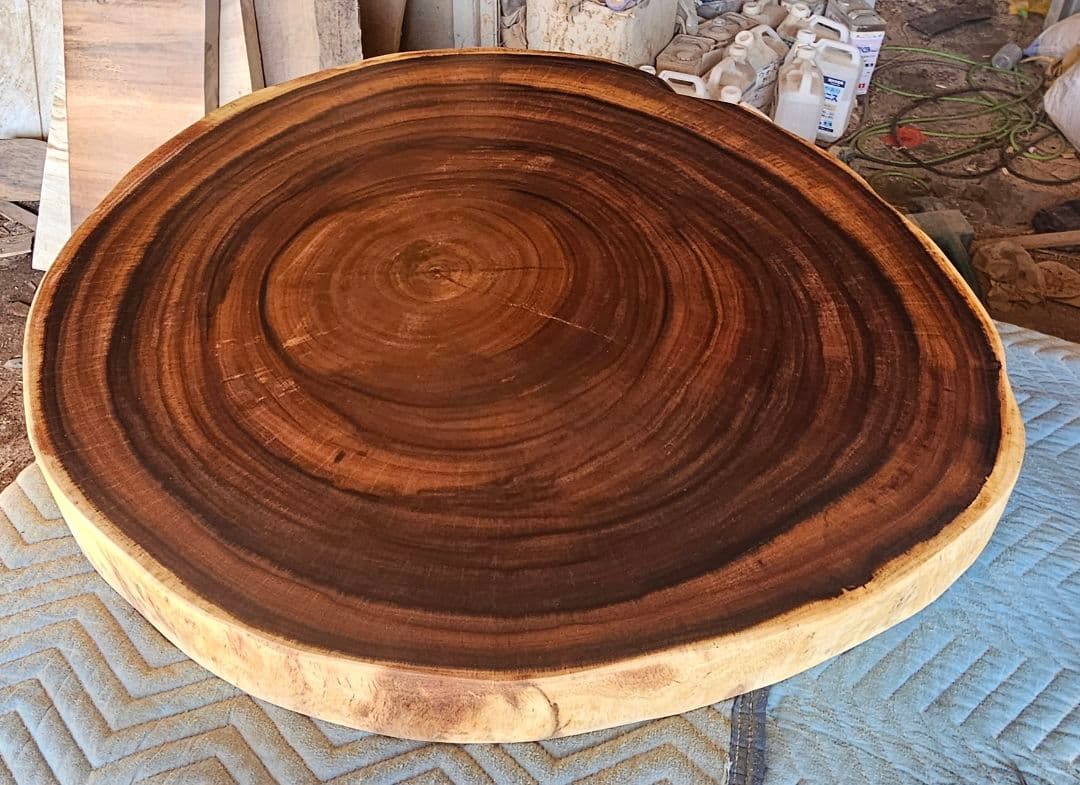 モンキーポッド　一枚板　ダイニング　テーブル　座卓　ローテーブル　座卓　輪切り