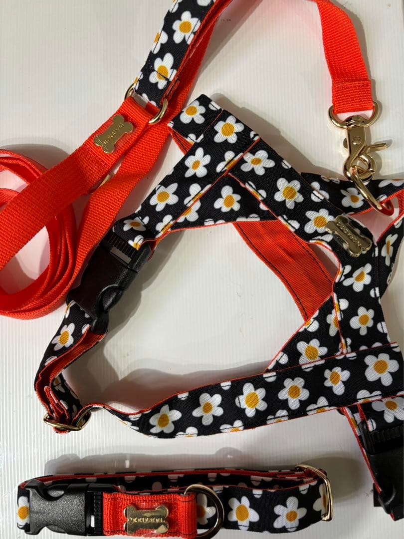 NORADOGリード.ハーネス.首輪3点セット