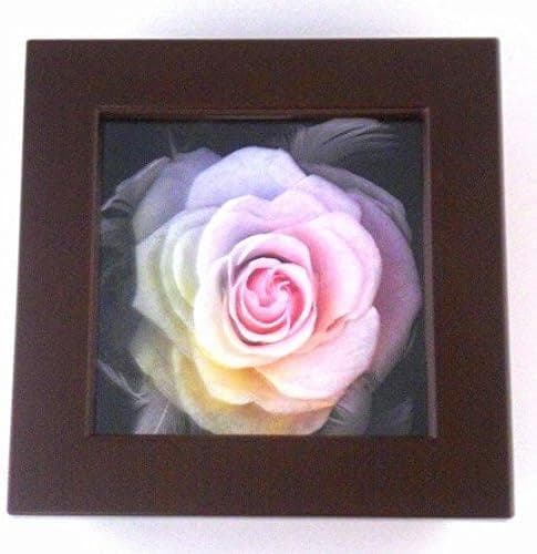 【高級プリザーブドフラワー】大輪バラ　 レインボーローズ フレーム ブラウン