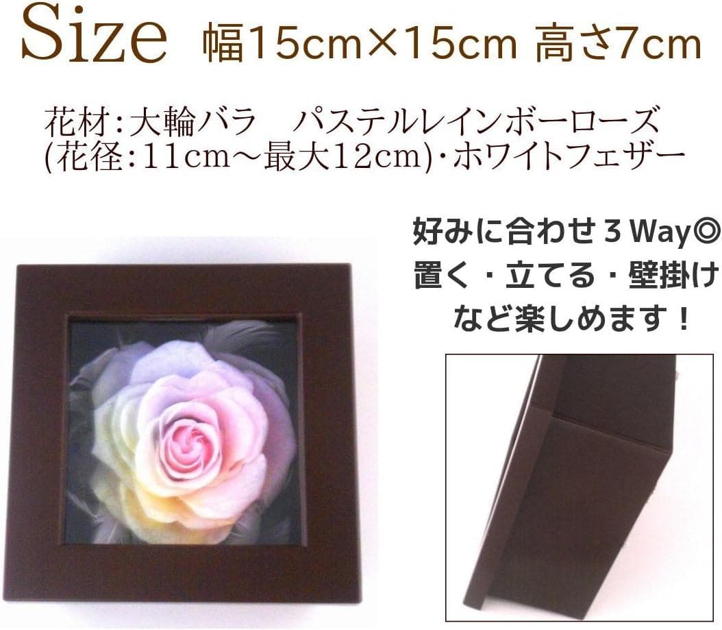 【高級プリザーブドフラワー】大輪バラ　 レインボーローズ フレーム ブラウン
