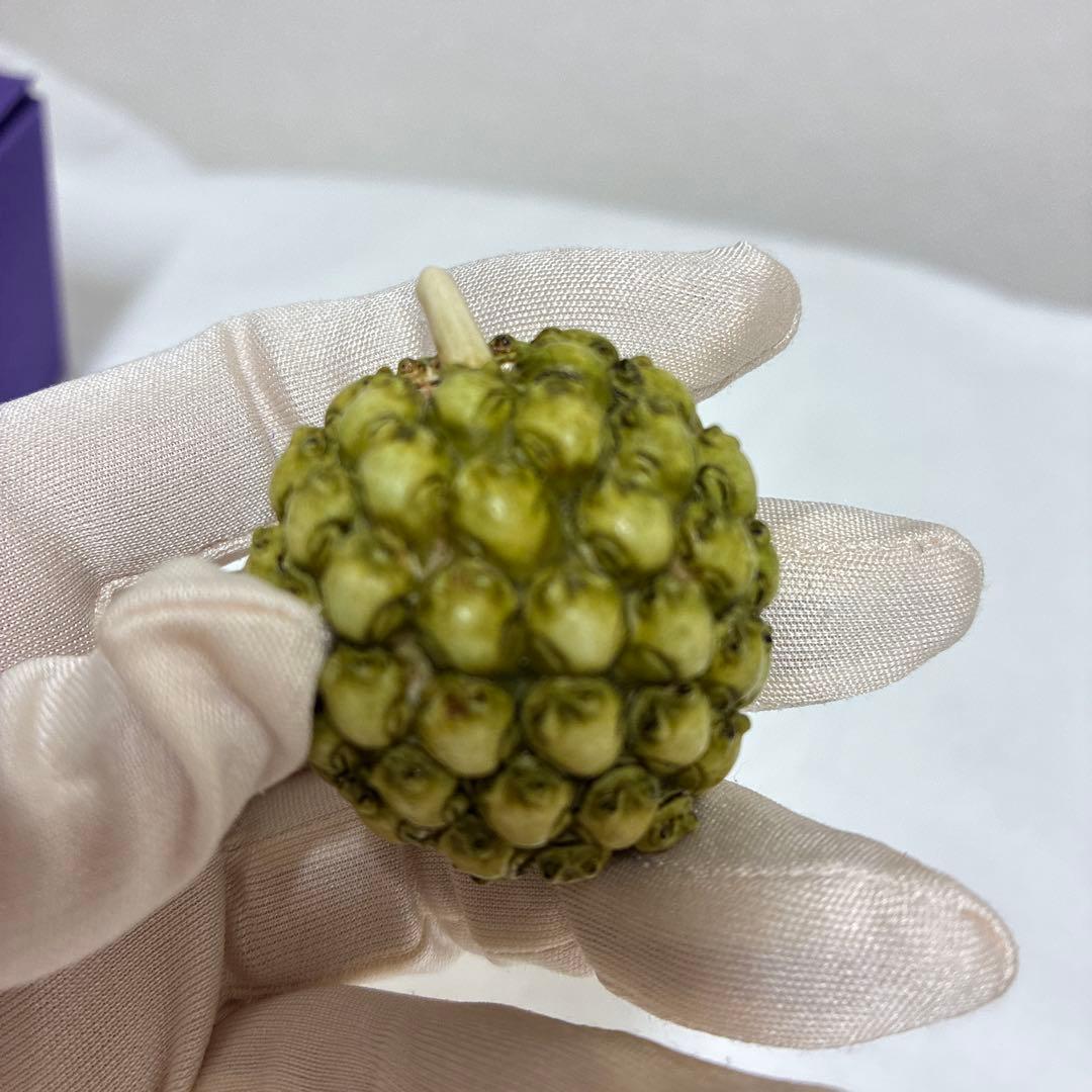 置物 Harmony Kingdom Frogberry Ivory