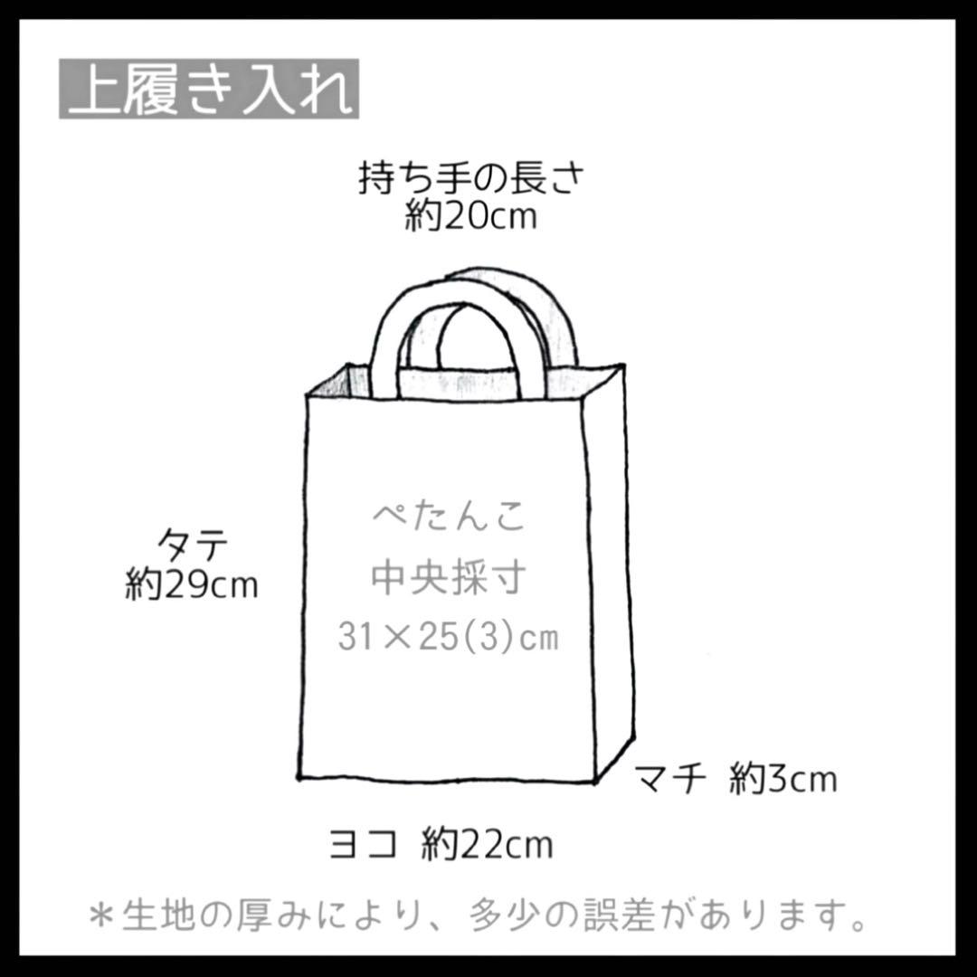 レッスンバッグ 上履き入れ 体操服入れ 巾着袋 セット 入学 入園 男の子 蛍光