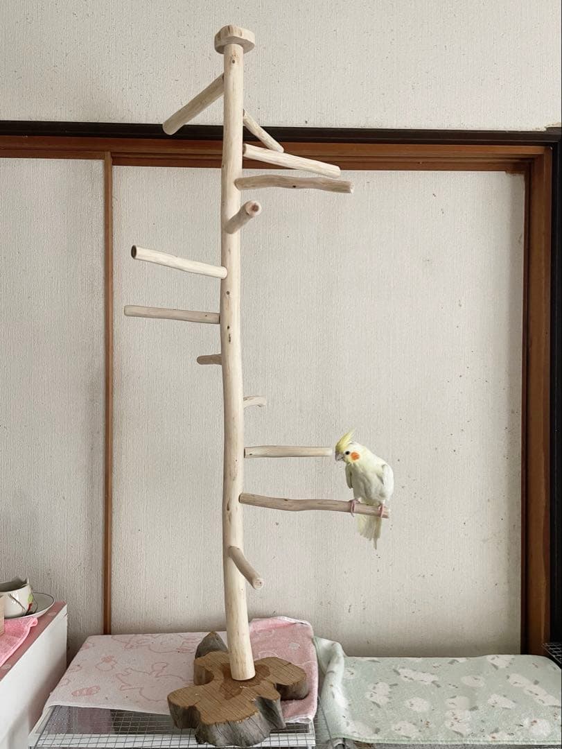 国産ヒノキ　鳥用止まり木　スタンド　アスレチック　約113センチ