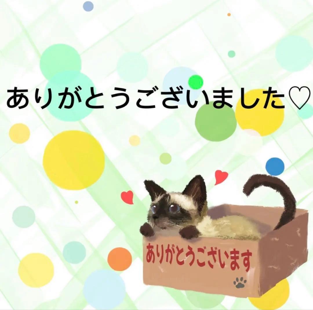【8728】海外　マステ　5m巻売り　PETカッティング　背景　道路