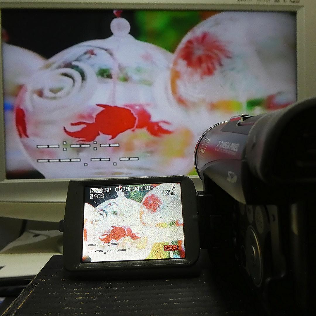 動作良好 パナソニック NV-GS200 MiniDVビデオカメラDVD化に最適