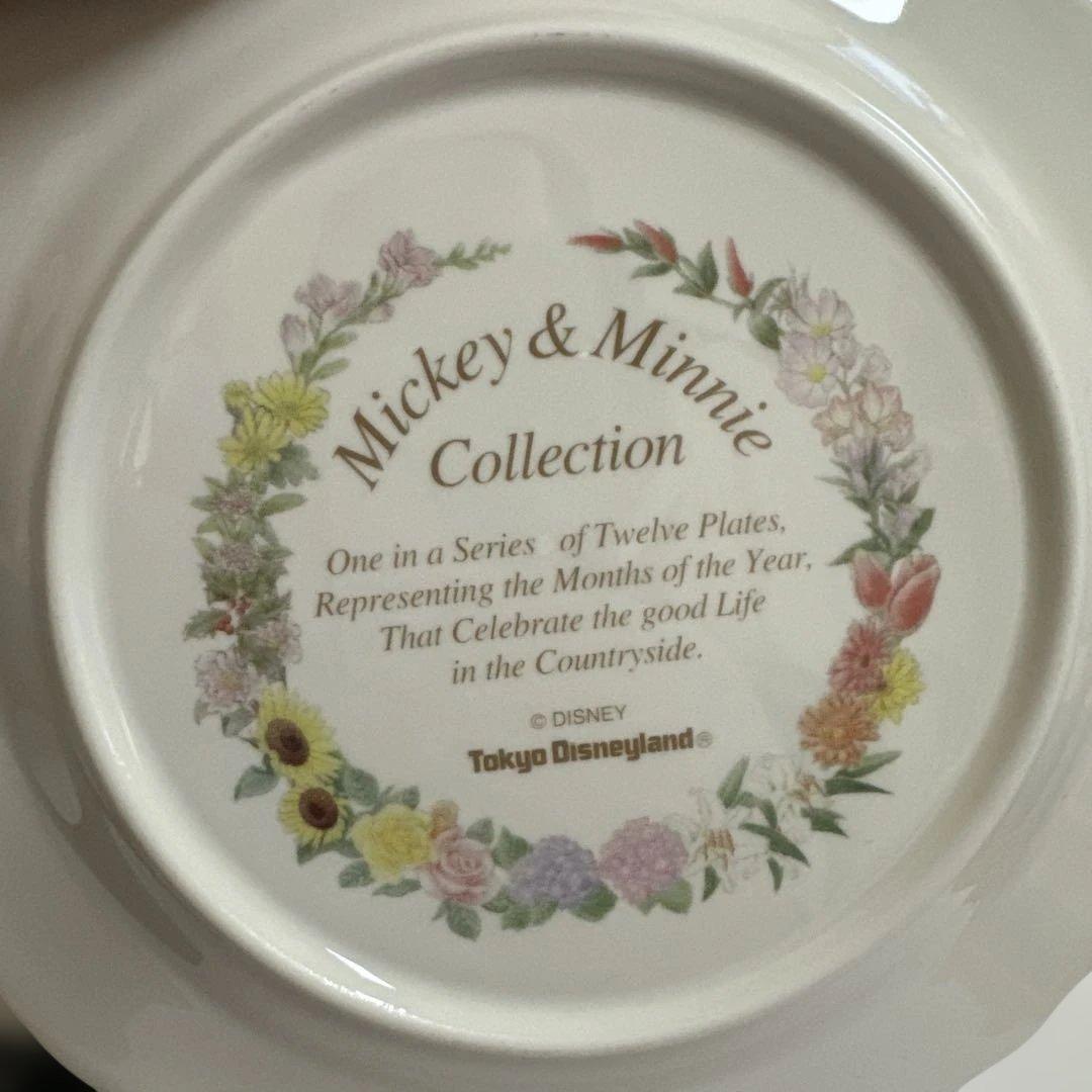 ディズニー　ミッキー&ミニーコレクション　プレート