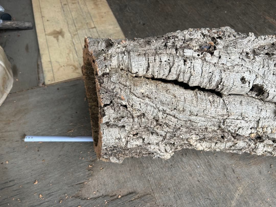 ポルトガル産コルク樹皮 ＰＬ-1002-103Ｌ