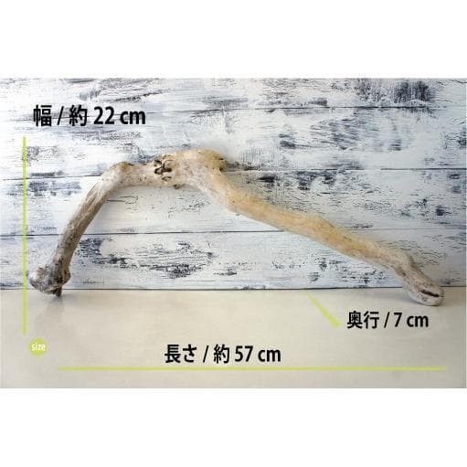 流木 ３本セット インテリア 大型サイズ オブジェ 登り木 爬虫類 送料無料