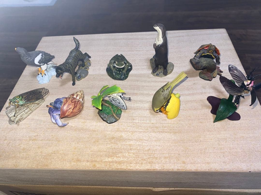 週刊 日本の天然記念物 動物編 全50巻＋フィギュア