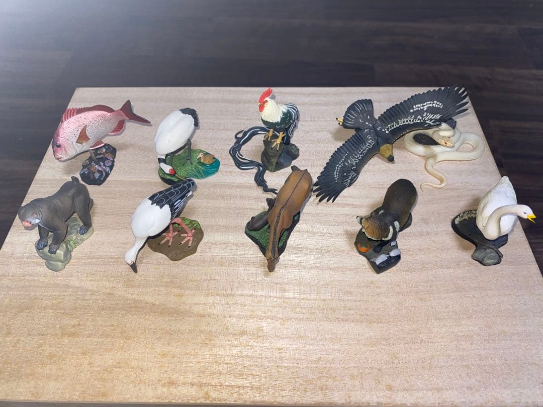 週刊 日本の天然記念物 動物編 全50巻＋フィギュア