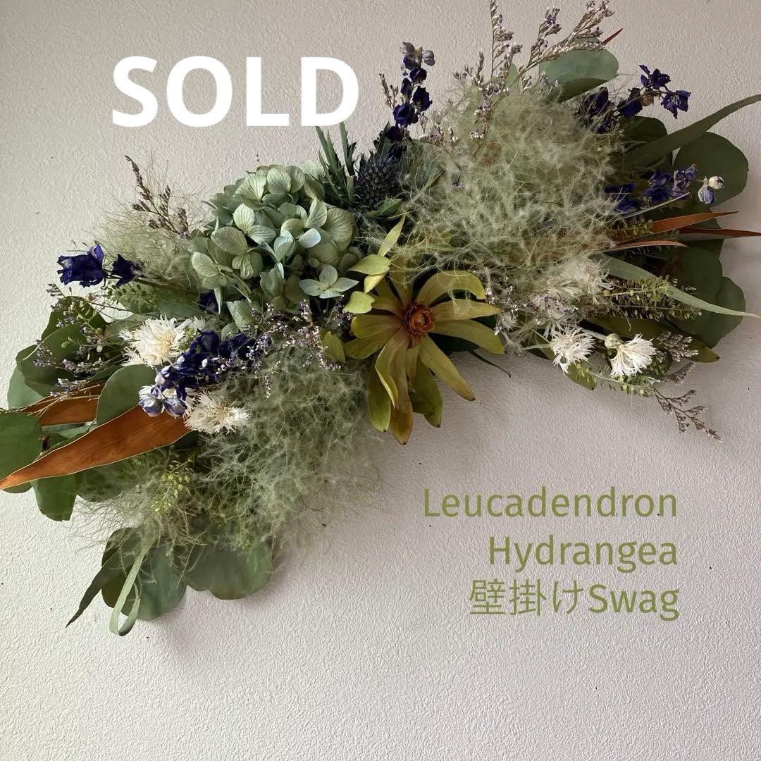 リューカデンドロンとアンティーク紫陽花の壁掛けアレンジ　スモークツリー