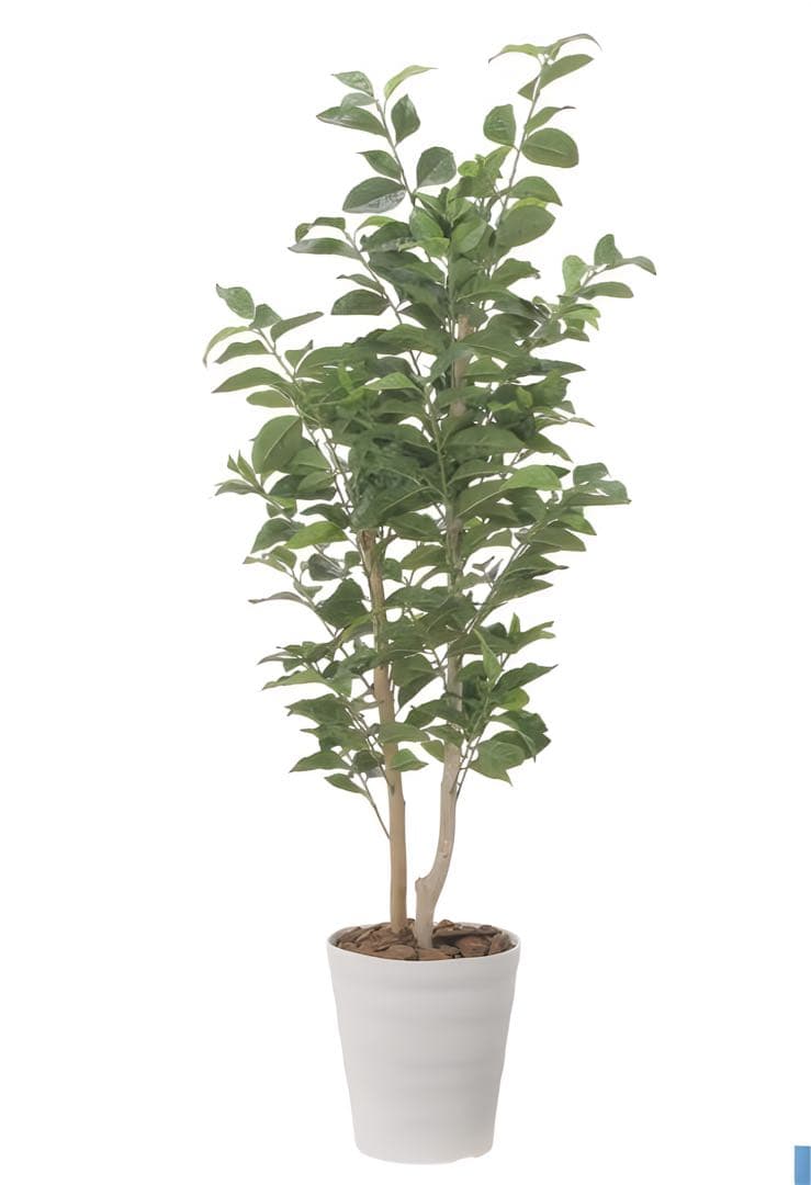 光触媒　人工観葉植物　ウォールグリーン　フェイクグリーン　レモンの木1.35