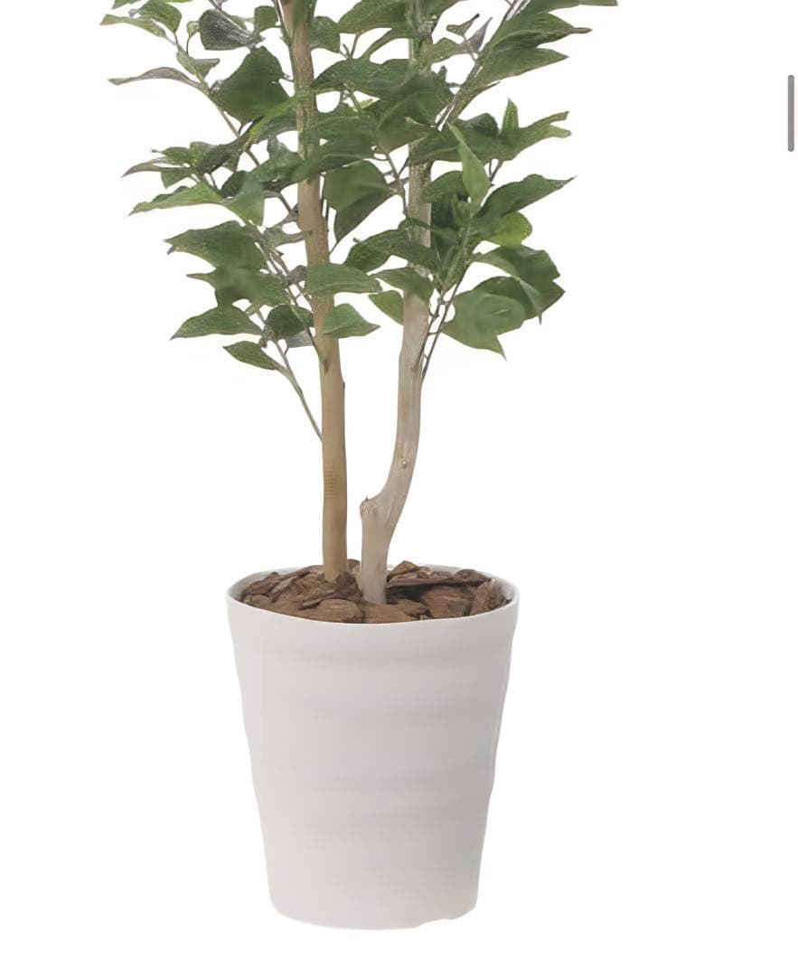 光触媒　人工観葉植物　ウォールグリーン　フェイクグリーン　レモンの木1.35