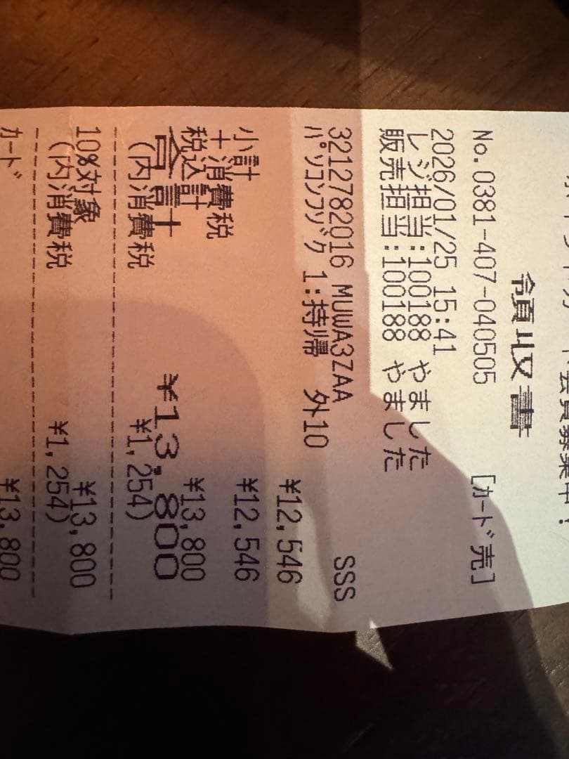 iPadアクセサリー Apple Pencil(USB-C)