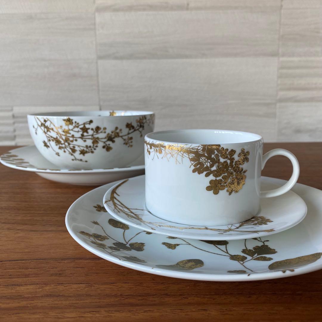 廃盤  ウェッジウッド ヴェラ ジャルダン 4点