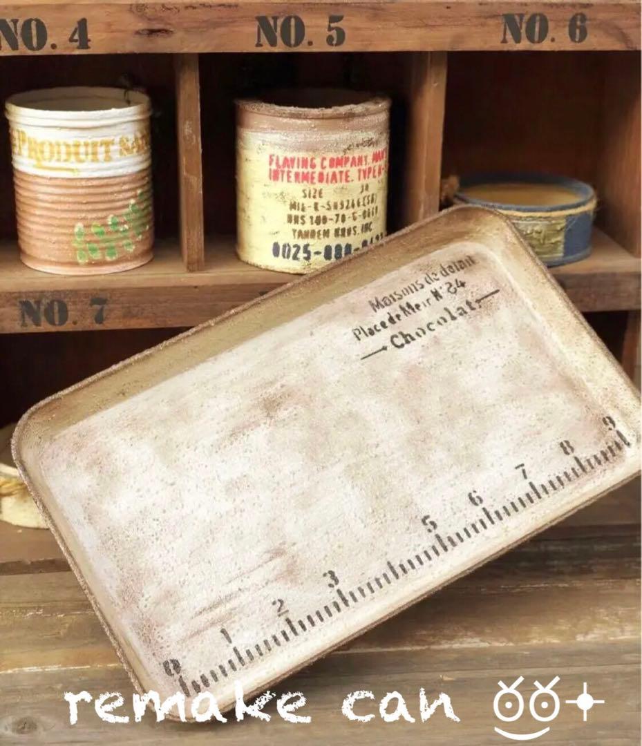 リメイク缶　大サイズ　ガッチリ ガーデン トレイ　多肉ポイポイ　No.373