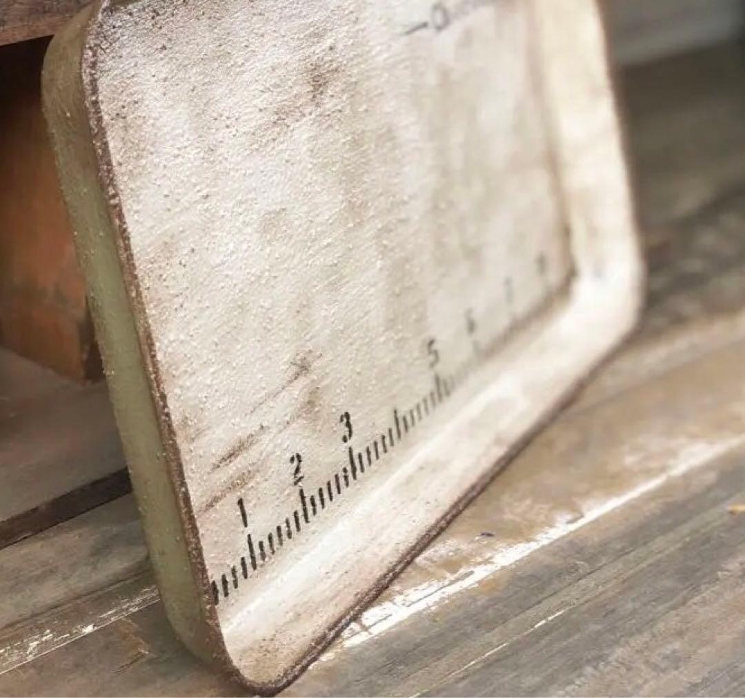 リメイク缶　大サイズ　ガッチリ ガーデン トレイ　多肉ポイポイ　No.373