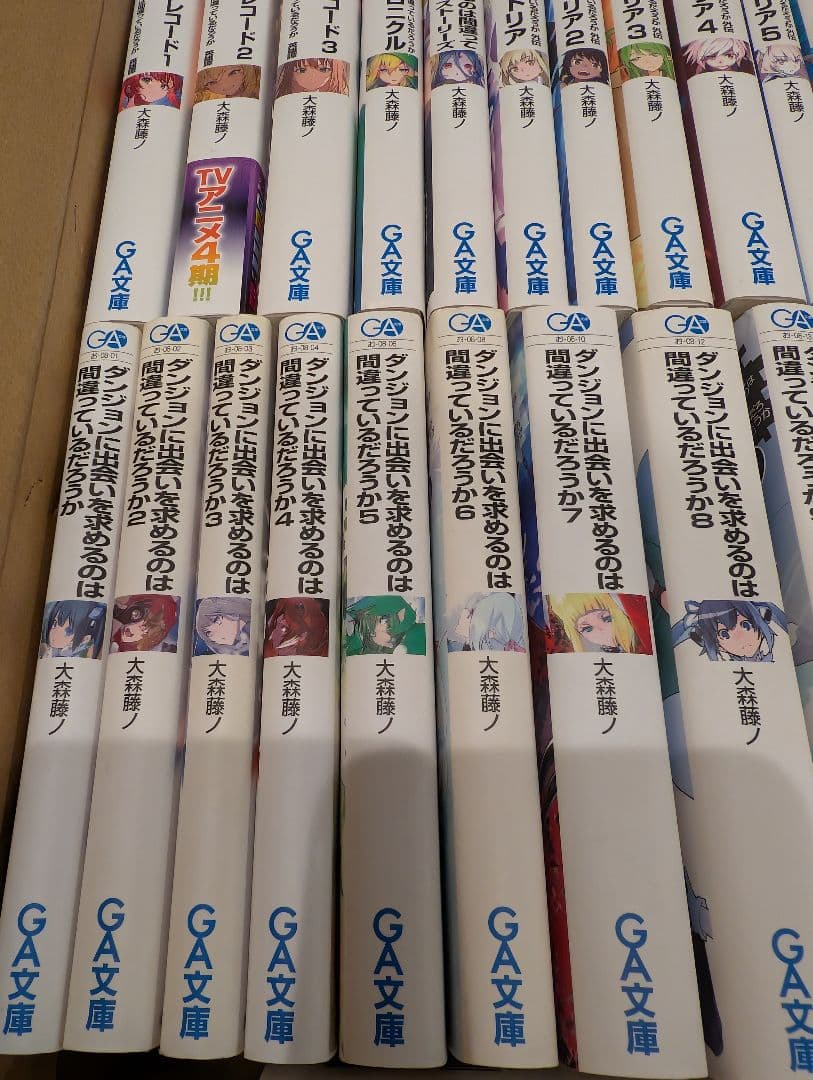 ダンジョンに出会いを求めるのは間違っているだろうか21 ラノベ ソードオラトリア