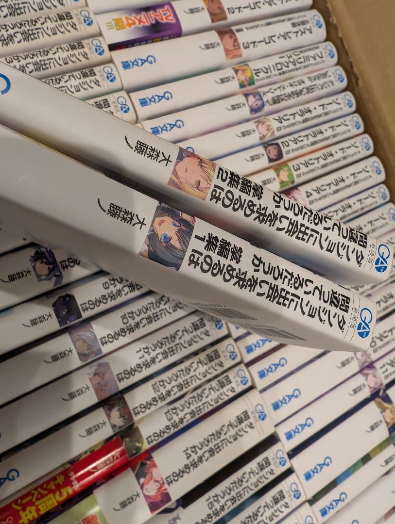 ダンジョンに出会いを求めるのは間違っているだろうか21 ラノベ ソードオラトリア