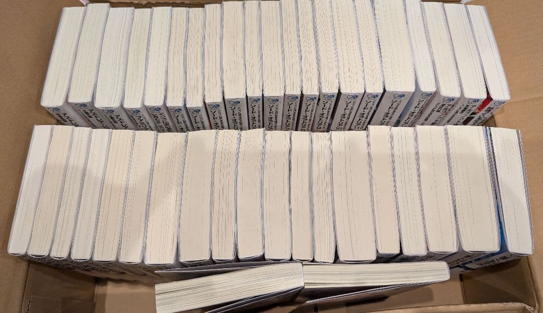 ダンジョンに出会いを求めるのは間違っているだろうか21 ラノベ ソードオラトリア