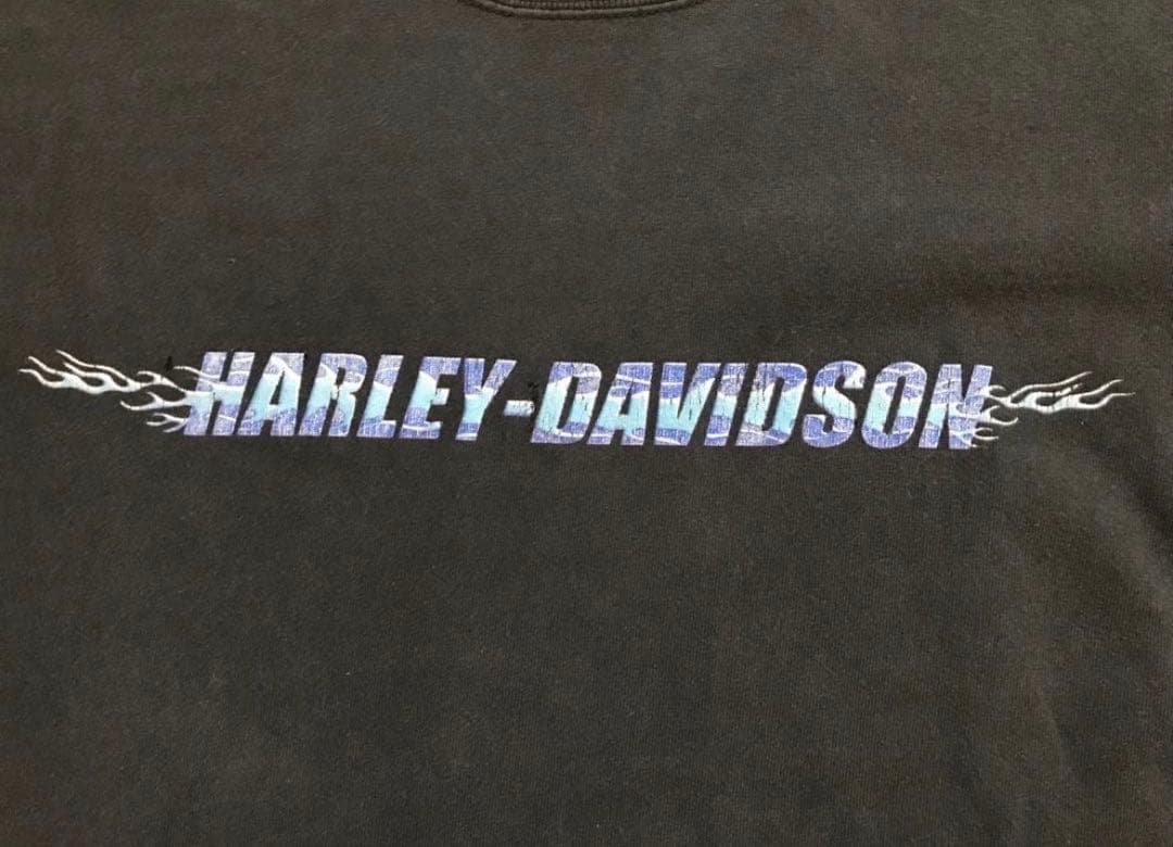 ハーレーダビッドソン　ヴィンテージ　長袖カットソー 【人気フレイム・良サイズ】