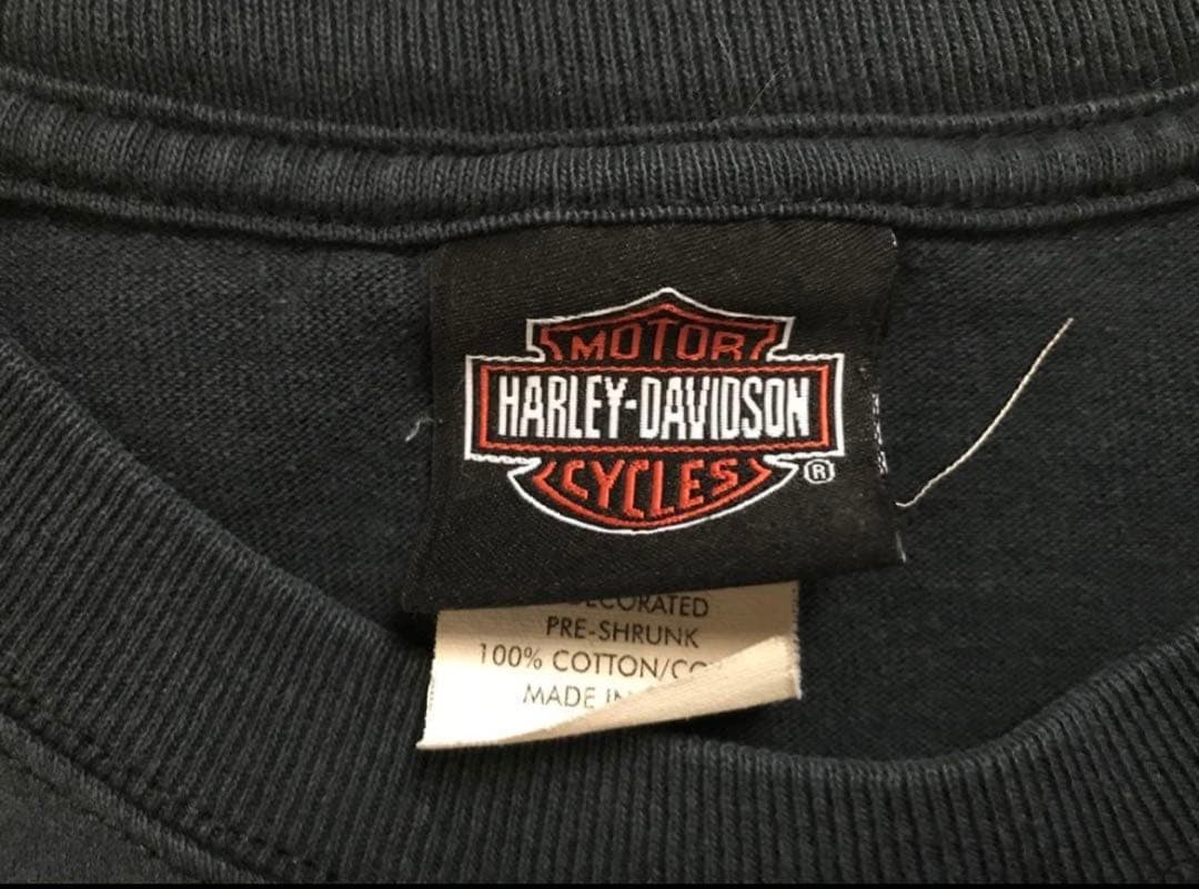 ハーレーダビッドソン　ヴィンテージ　長袖カットソー 【人気フレイム・良サイズ】