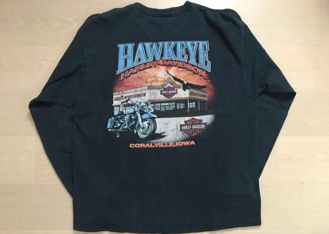 ハーレーダビッドソン　ヴィンテージ　長袖カットソー 【人気フレイム・良サイズ】