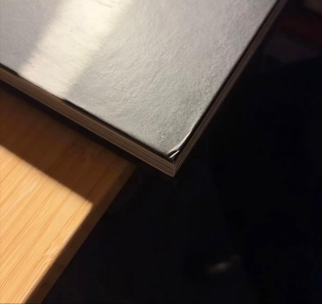 Alan Schaller Metropolis 写真集