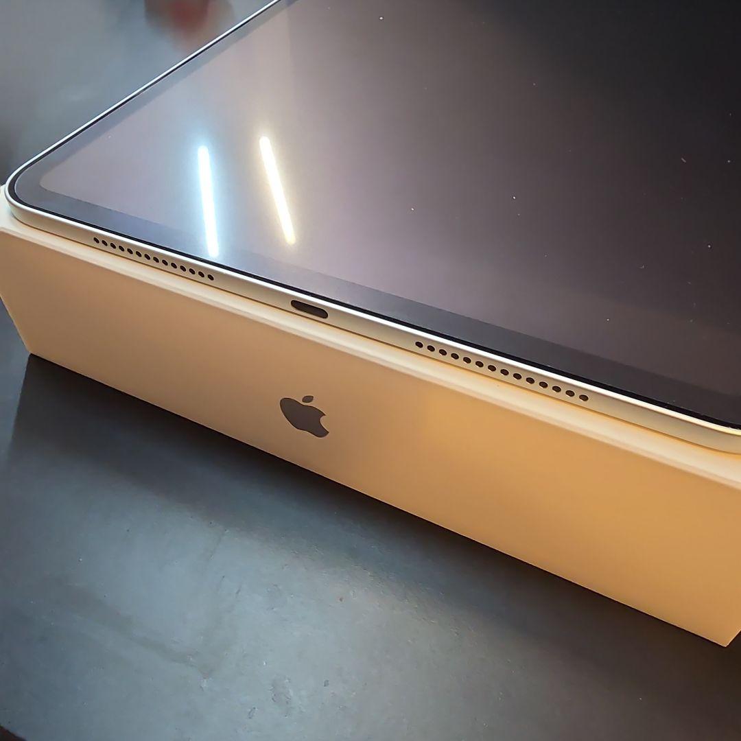 iPad Pro M4 1TB nano texture 11インチ　シルバー