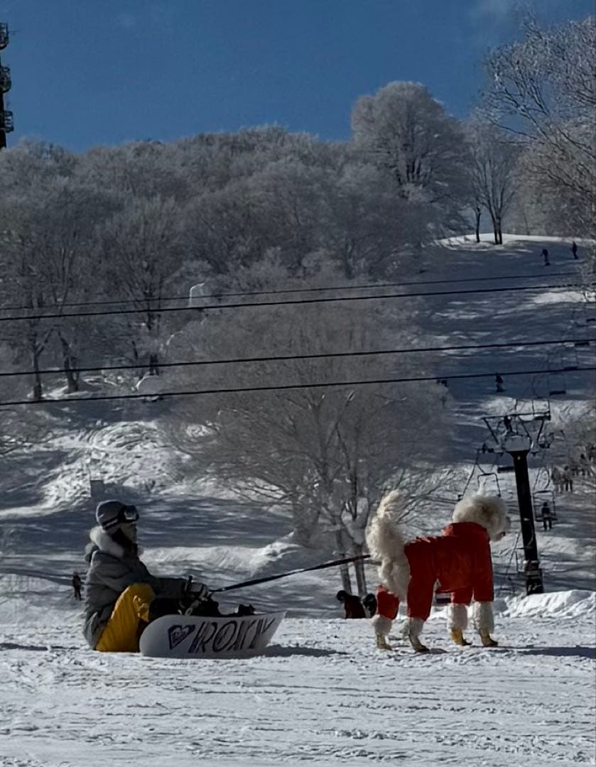 FL-BOA ベージュ スノーボードブーツ