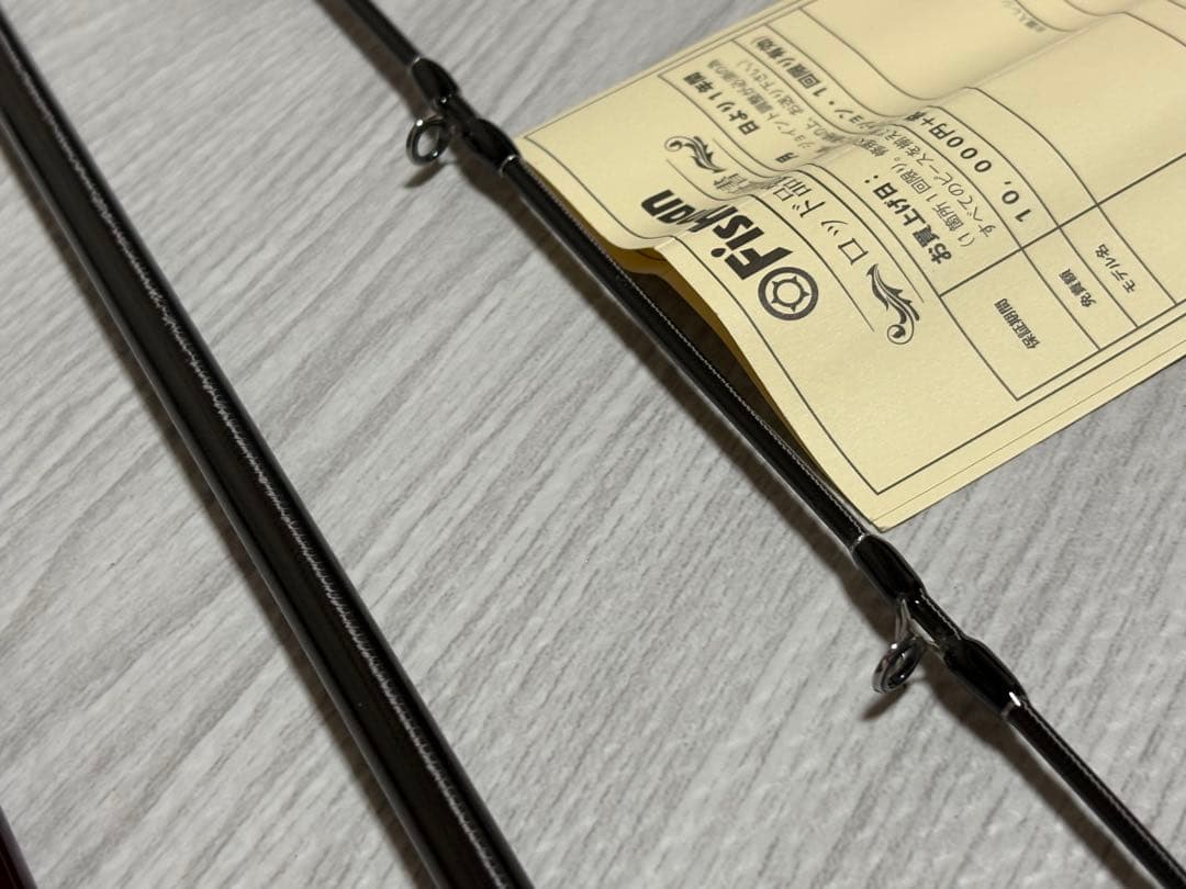 フィッシュマン　ブリストマリノ9.9H