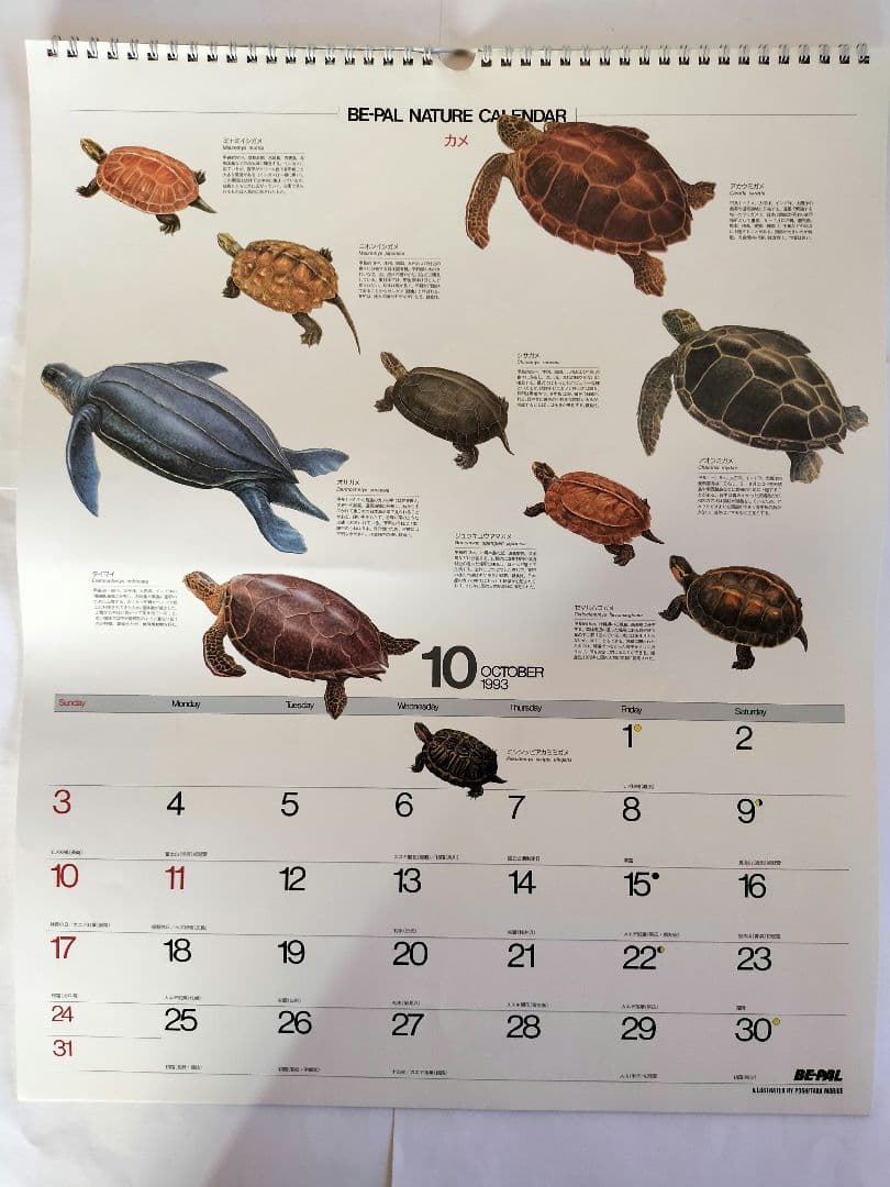 BE-PAL ビーパル カレンダー 新品未使用 1993年 ヴィンテージ