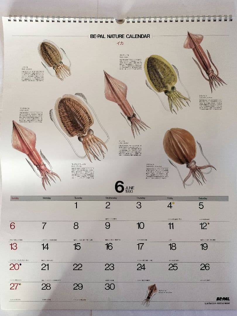 BE-PAL ビーパル カレンダー 新品未使用 1993年 ヴィンテージ