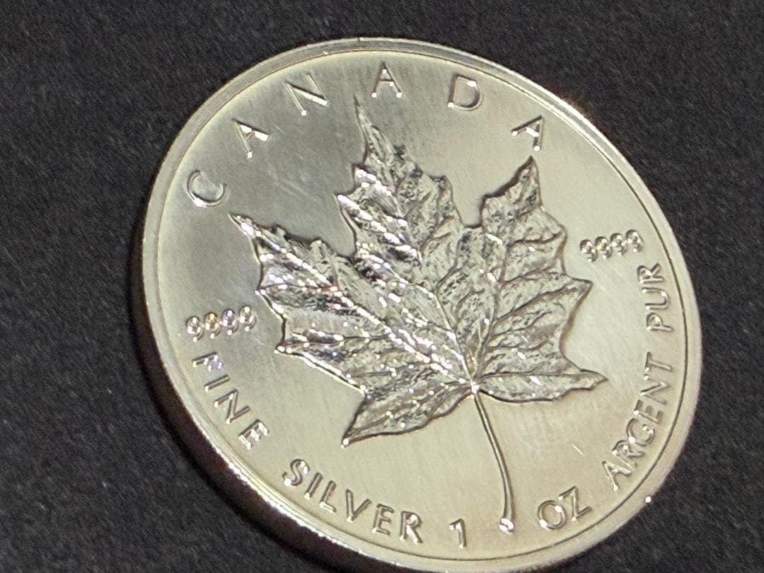 メイプルリーフ銀貨 1991年 カナダ 5ドル 純銀硬貨