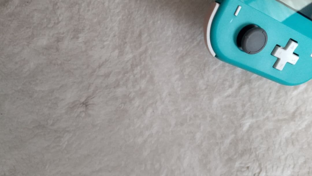 Nintendo Switch Lite ターコイズ 本体 動作品 極良品