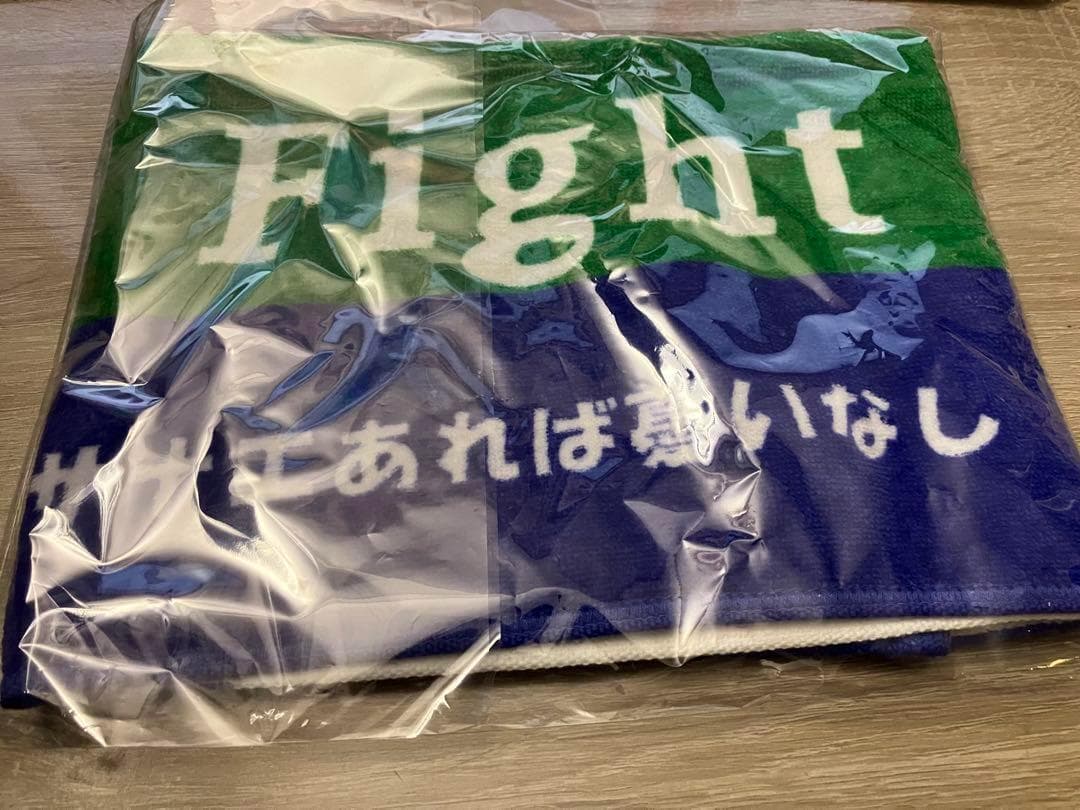【祝 104代首相】 サナエタオル 高市早苗