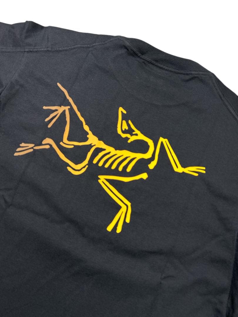 新品 アークテリクス Kragg ロゴ Tシャツ 24Kブラック/M 送料込