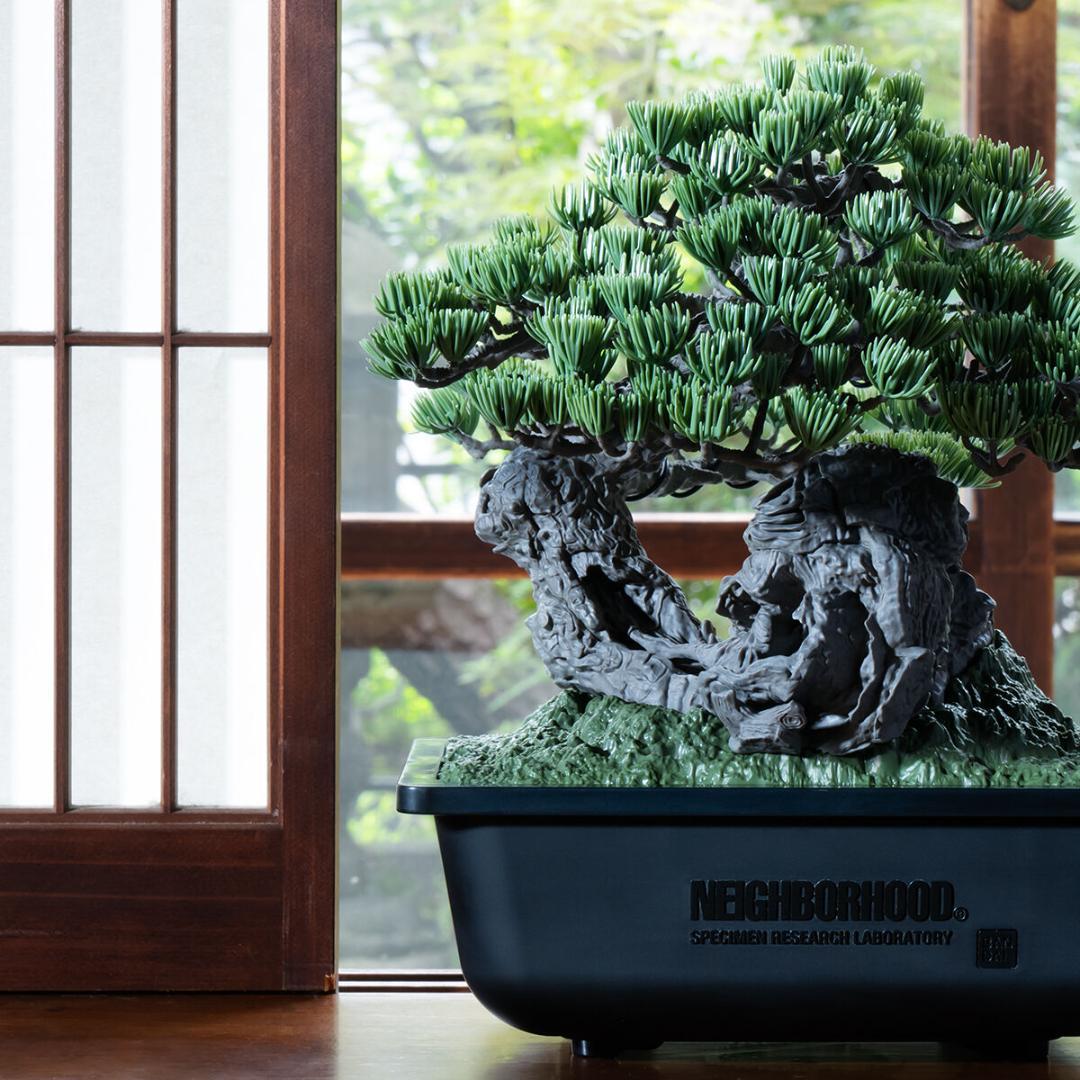 盆栽 SRL x BANDAI SPIRITS . BONSAI MODEL KIT
