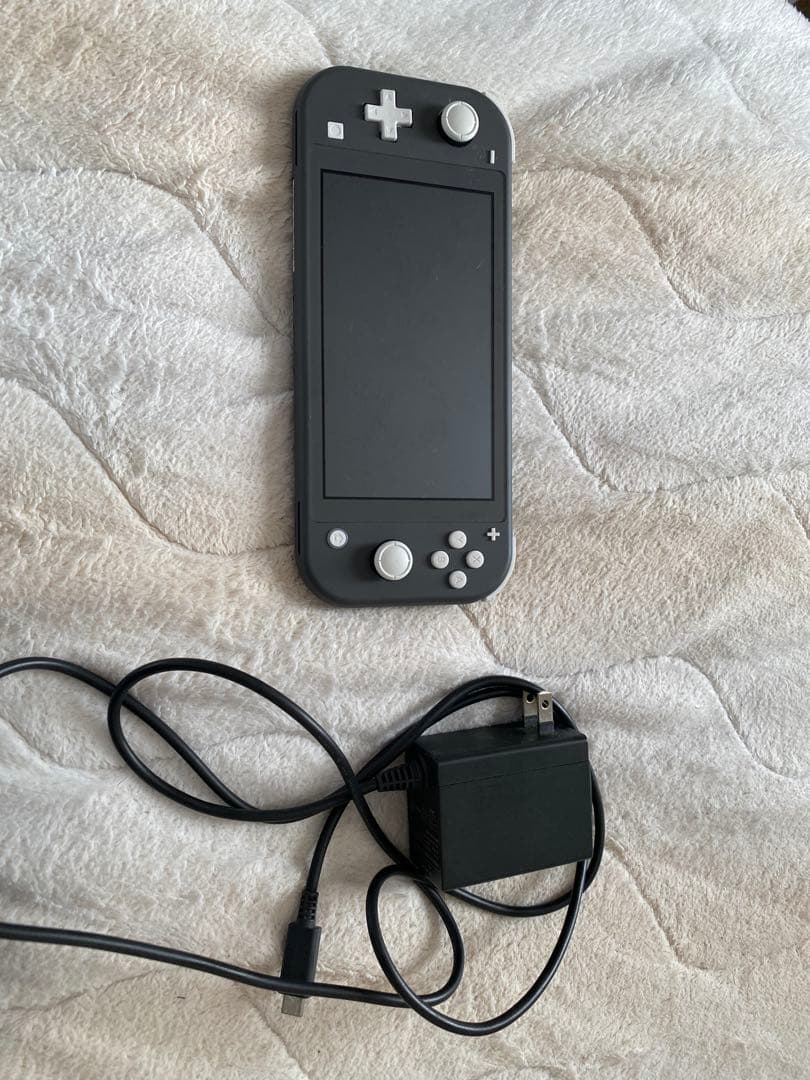 Nintendo Switch Lite グレー 128GB 充電器付き