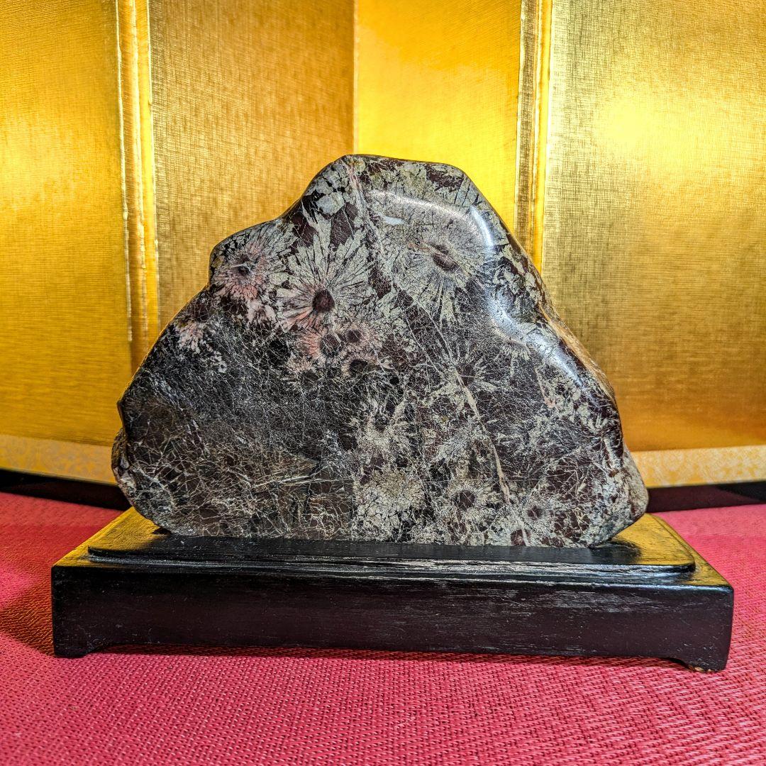 菊花石 岐阜県根尾谷産1.2㌔ 鑑賞石 観賞石 水石 盆石 天然石 置物