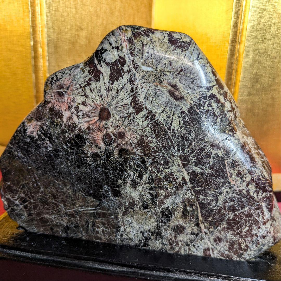 菊花石 岐阜県根尾谷産1.2㌔ 鑑賞石 観賞石 水石 盆石 天然石 置物