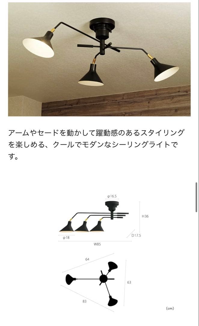 Ronne シーリングライト 3灯 マットブラック